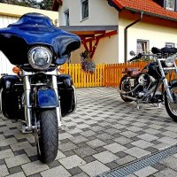 Meine Harleys 2019