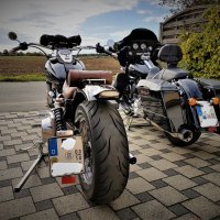 Meine Harleys2019