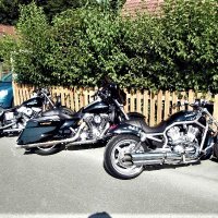 Meine Harleys 2014