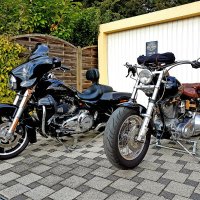 Meine Harleys 2019