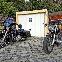 Meine Harleys2019